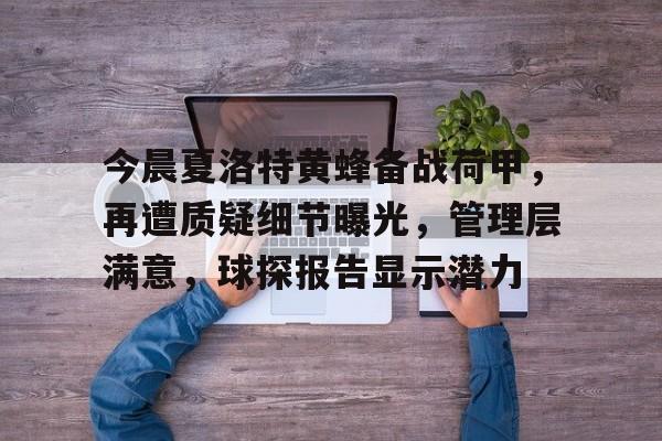 爱游戏体验-今晨夏洛特黄蜂备战荷甲，再遭质疑细节曝光，管理层满意，球探报告显示潜力的简单介绍